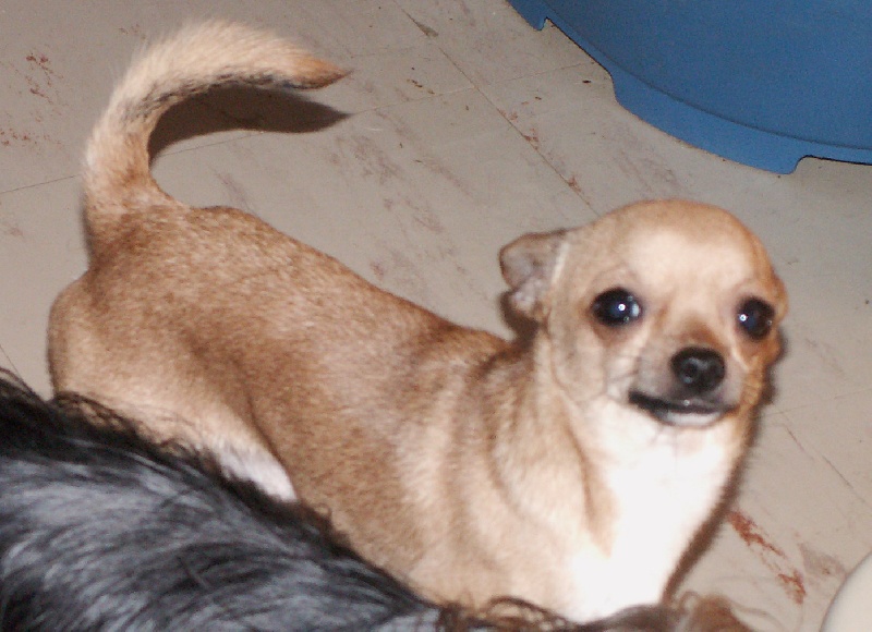 Publication : Du mont vermeil Auteur : Sabine