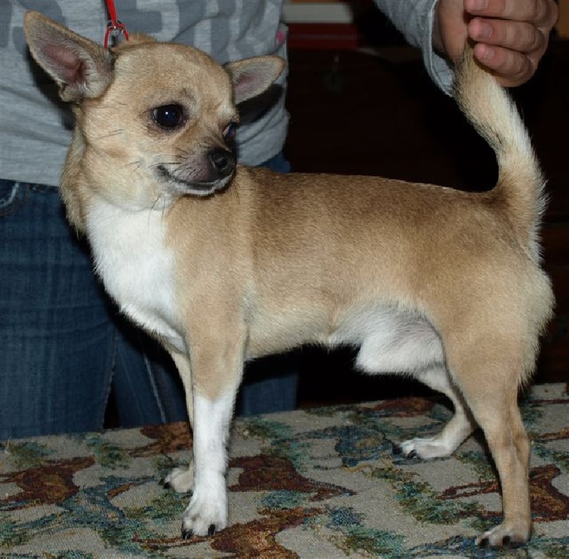 Publication : Du mont vermeil Auteur : Sabine