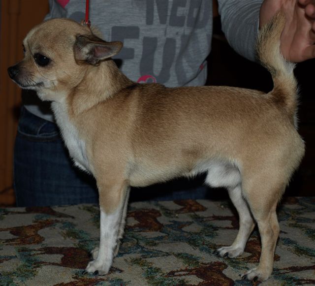 Publication : Du mont vermeil Auteur : Sabine