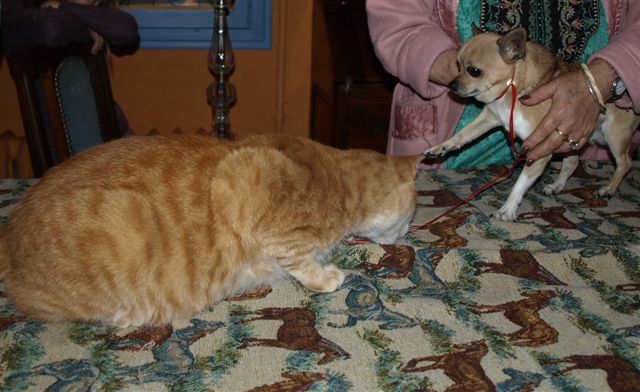 Publication : Du mont vermeil Auteur : Sabine