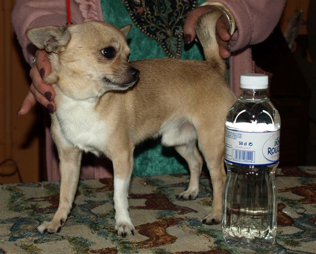 Publication : Du mont vermeil Auteur : Sabine