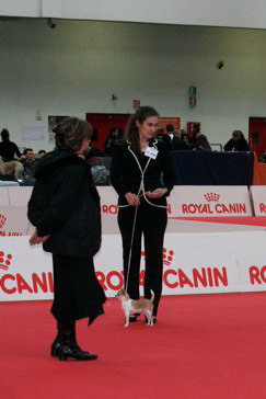 CH. Engélina of Alixora Blue - 1e Excellent