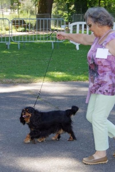 Hula du Nid du Faisan - exc