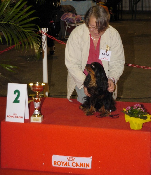 Rascally Of nauvoo - 1 exc classe véteran 2eme véteran d'expo