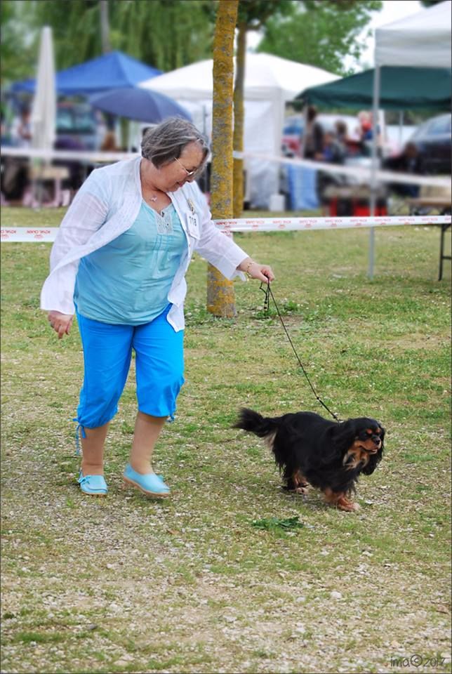 Hula du Nid du Faisan - 1 exc CAC classe ouverte