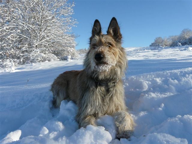 Couky des garous d'ebene