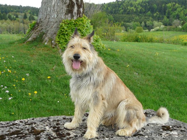 Couky des garous d'ebene