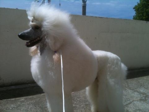 Publication : de la Fontaine du Beauregard