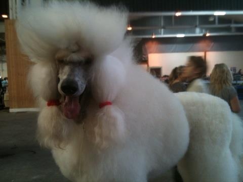 Publication : de la Fontaine du Beauregard