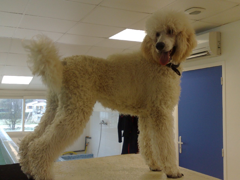 Publication : de la Fontaine du Beauregard