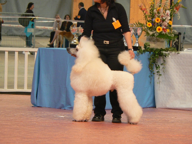 Publication : de la Fontaine du Beauregard