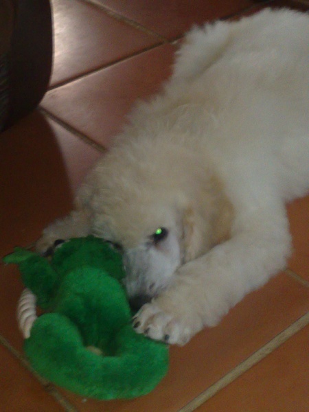 Publication : de la Fontaine du Beauregard