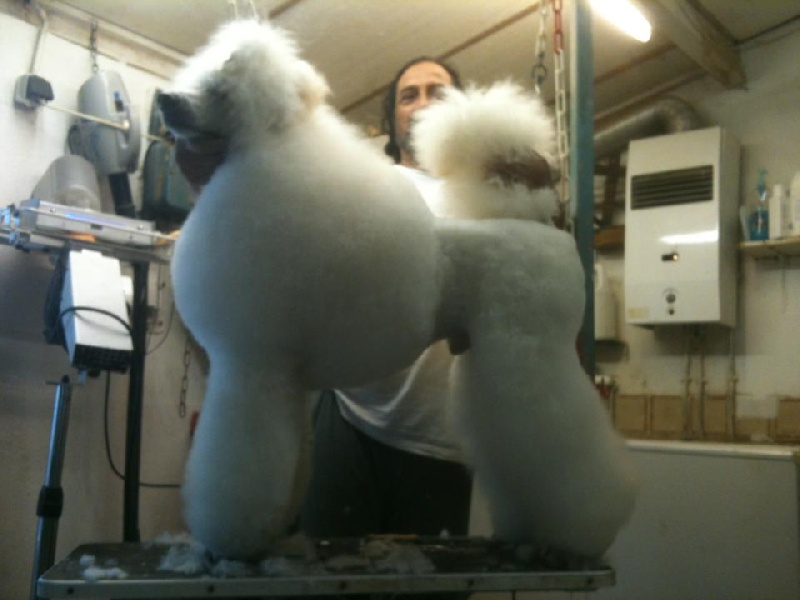 Publication : de la Fontaine du Beauregard