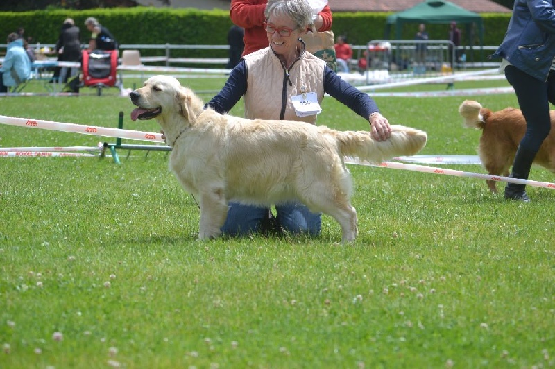 Always you of lanson fields - RCACS