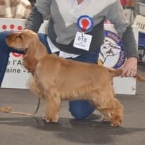 manaca's Up The Game