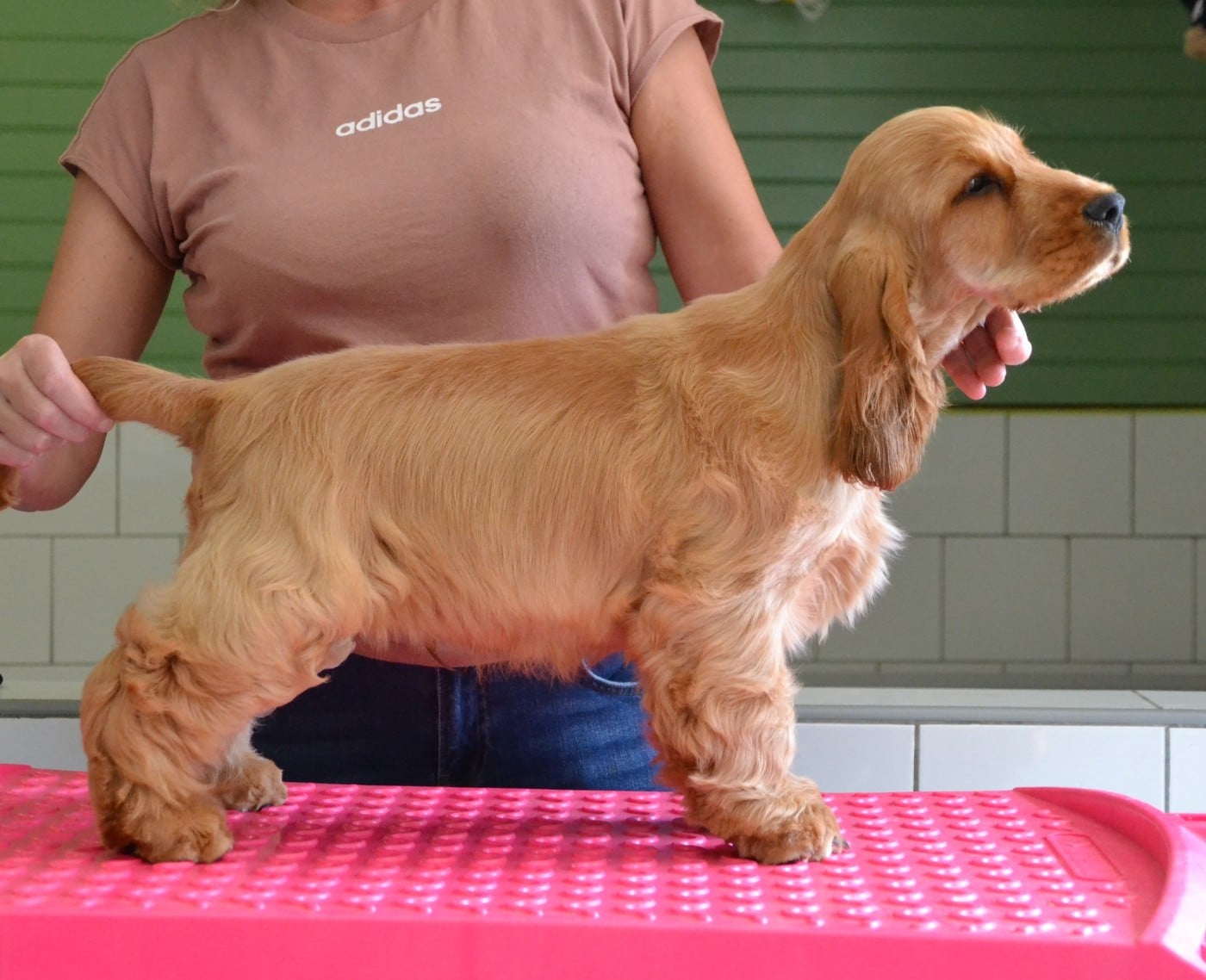 manaca's Up The Game