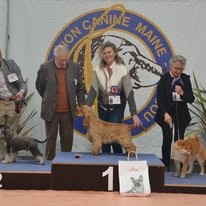 manaca's Up The Game