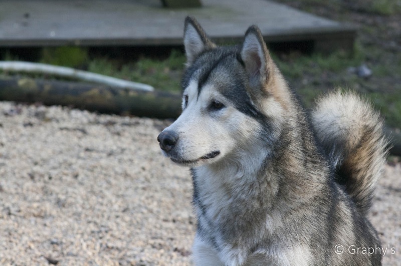 Publication : de laouen ki