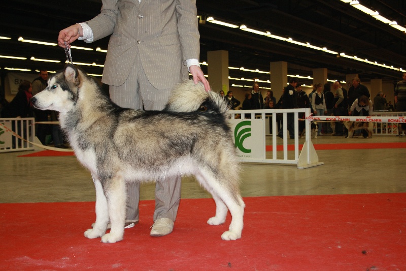 Publication : de laouen ki