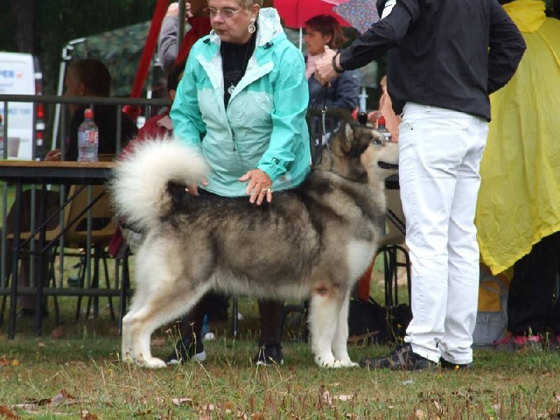 Publication : de laouen ki