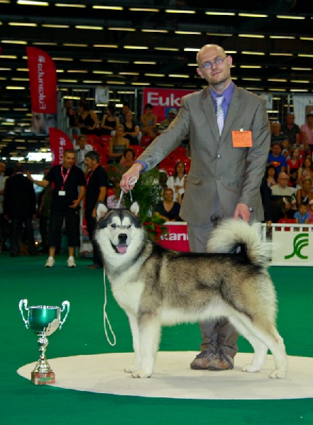 Publication : de laouen ki