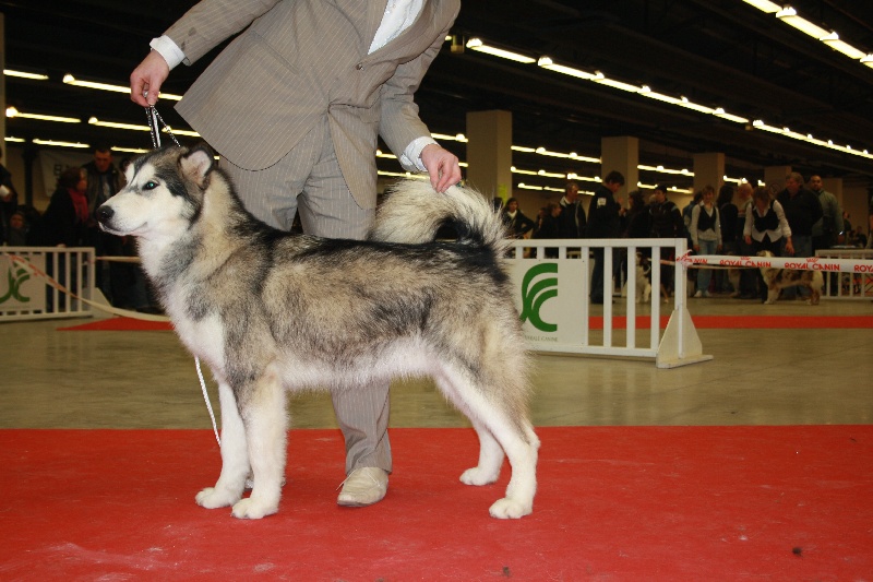 Publication : de laouen ki