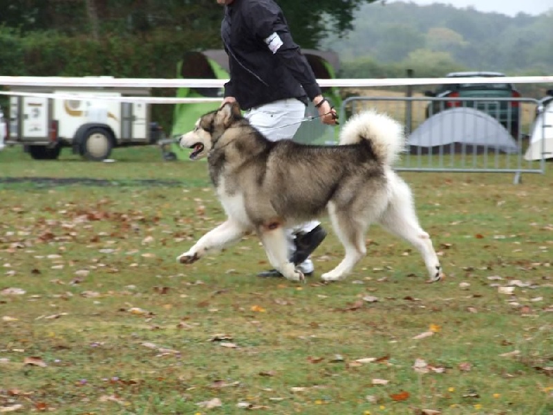 Publication : de laouen ki