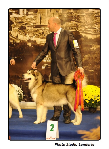 Publication : de laouen ki