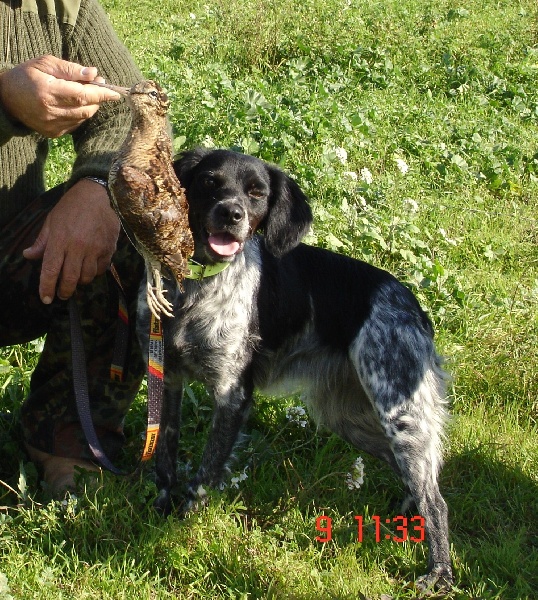 Publication : du Canal de Lunel Auteur : Elevage du canal de lunel