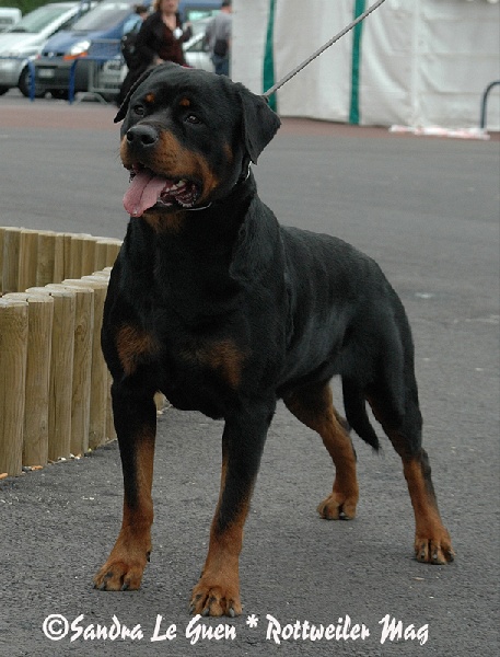 Publication : Vom hause man