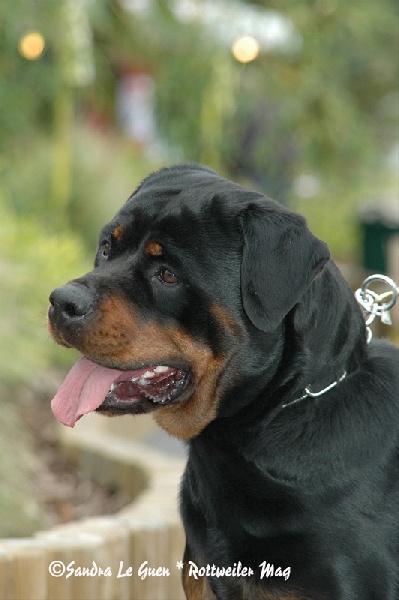 Publication : Vom hause man