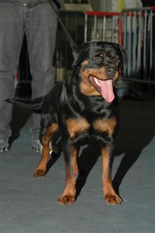 Publication : Vom hause man