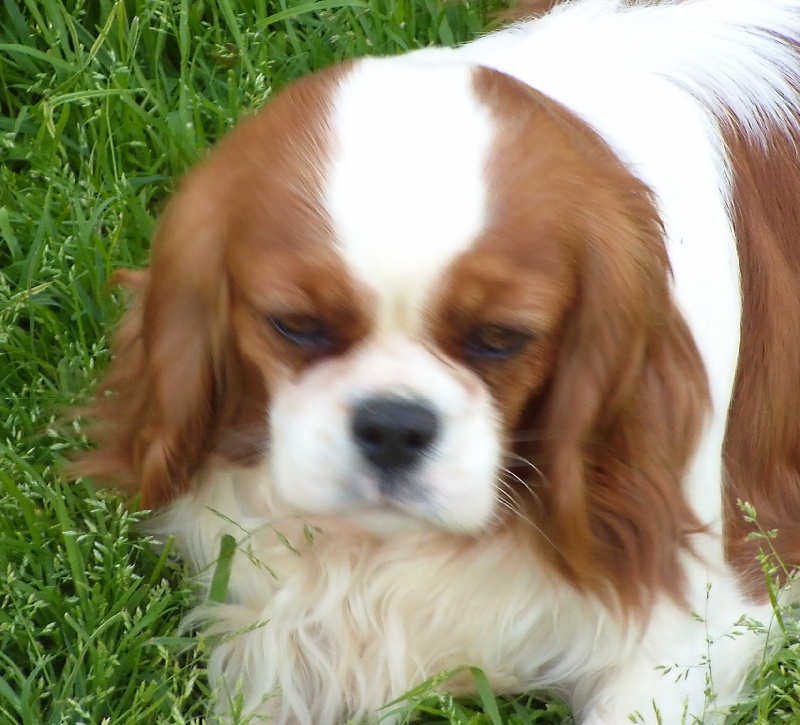 Publication : De jamirande Auteur : Michèle JACQUOT