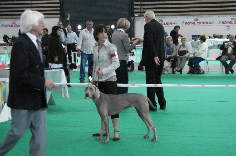 Alphée des dolmens argentés - classe travail : 4ème excellent