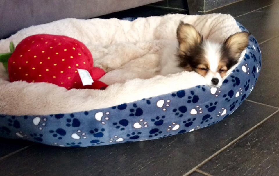 Publication : of whitsunday Ranch Auteur : Isabelle Huchon