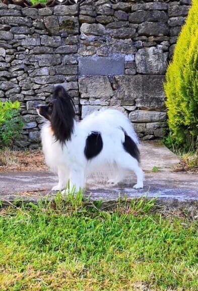 Publication : of whitsunday Ranch