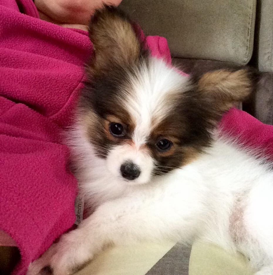 Publication : of whitsunday Ranch Auteur : Isabelle Huchon