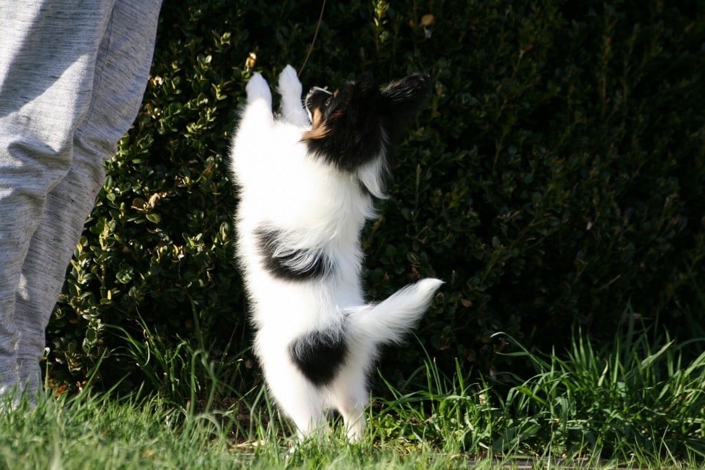 Publication : of whitsunday Ranch