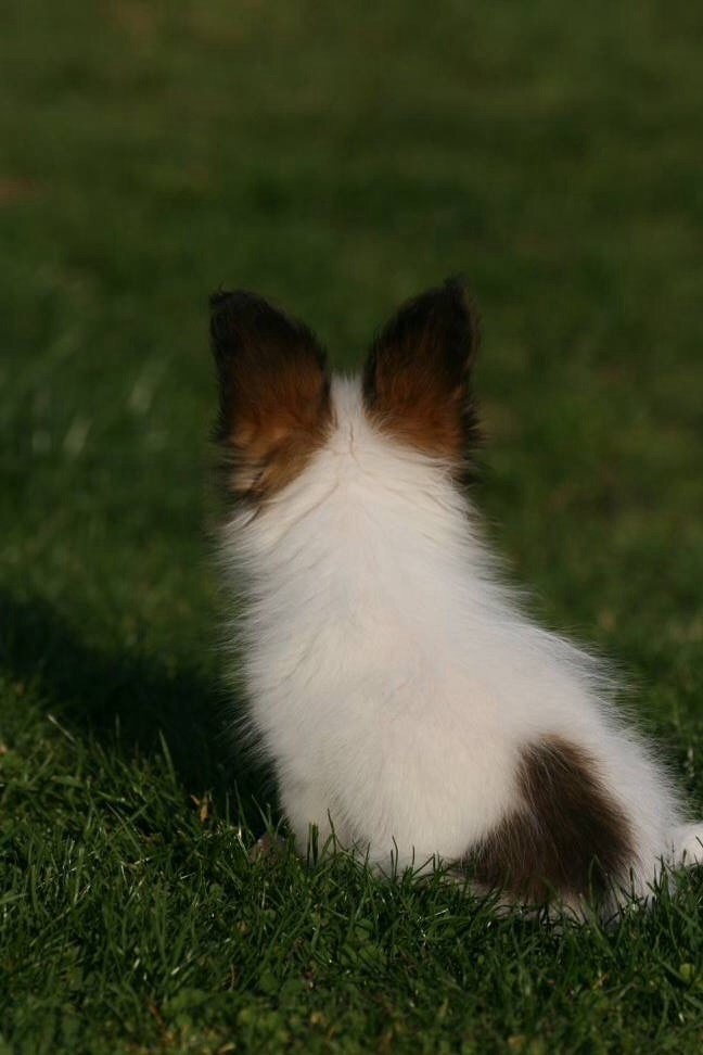 Publication : of whitsunday Ranch Auteur : Isabelle Huchon