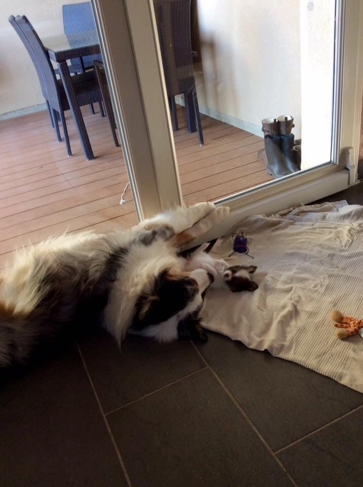 Publication : of whitsunday Ranch Auteur : Isabelle Huchon