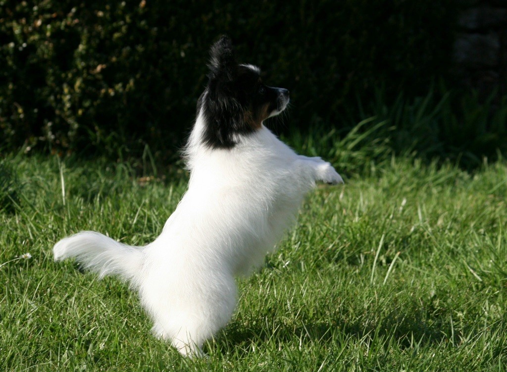 Publication : of whitsunday Ranch