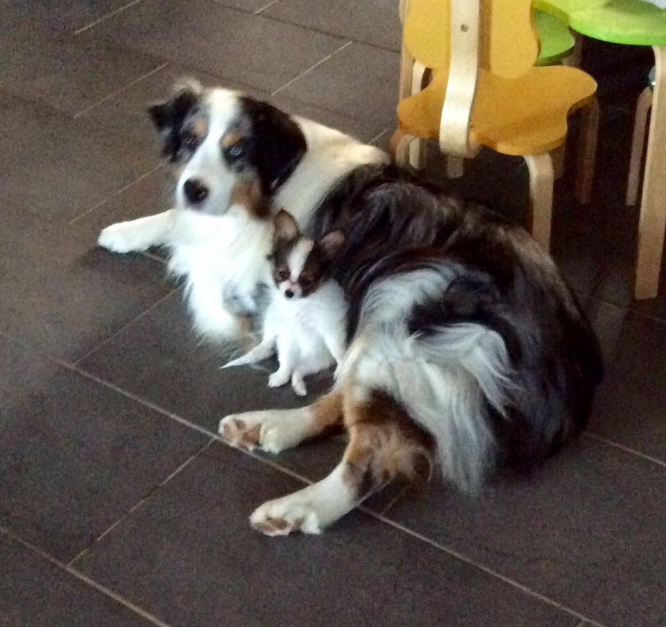 Publication : of whitsunday Ranch Auteur : Isabelle Huchon