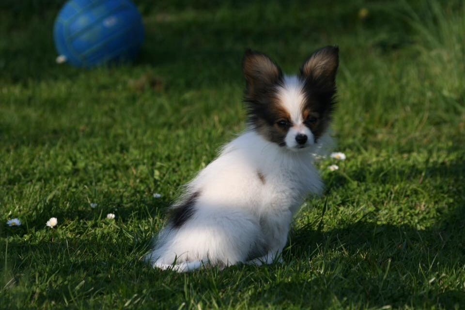 Publication : of whitsunday Ranch Auteur : Isabelle Huchon