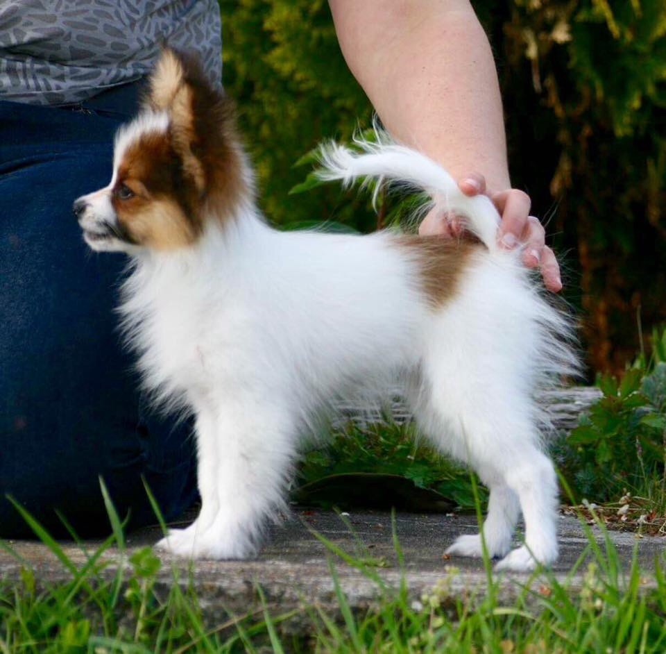 Publication : of whitsunday Ranch Auteur : Isabelle Huchon