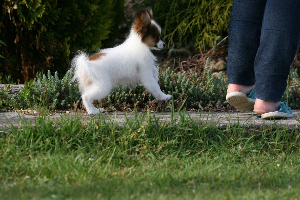Publication : of whitsunday Ranch Auteur : Isabelle Huchon