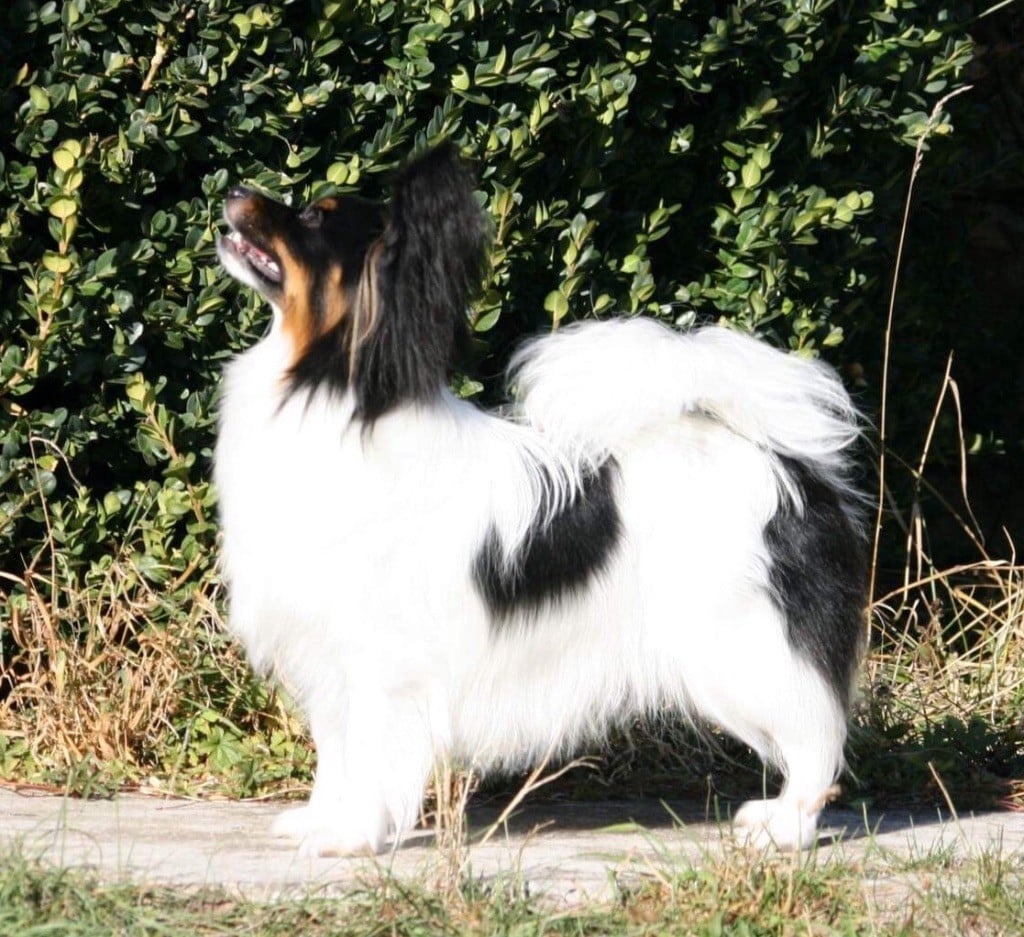 Publication : of whitsunday Ranch