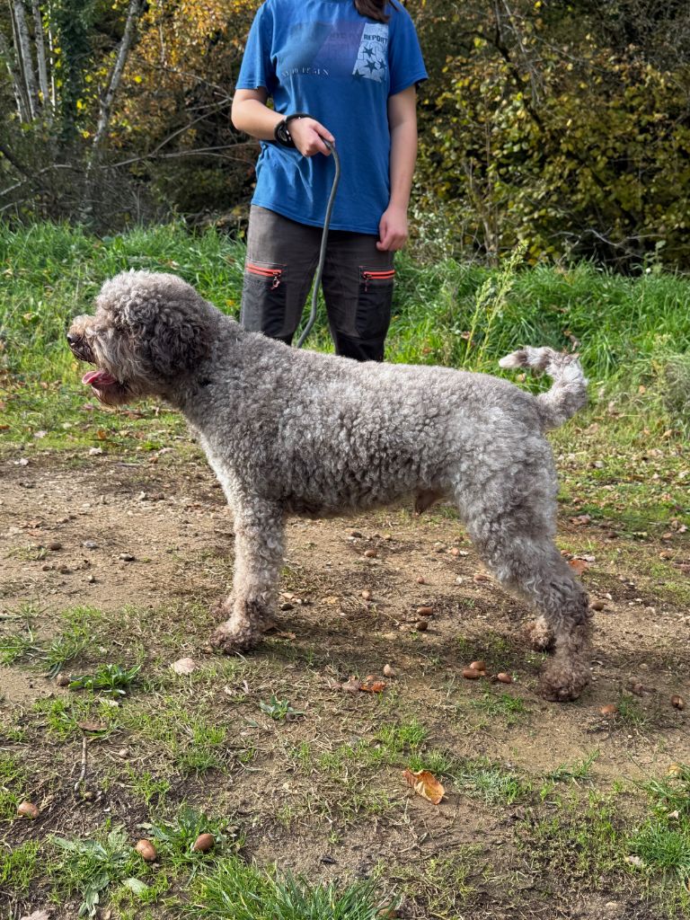 Topaze des coleres de Zeus