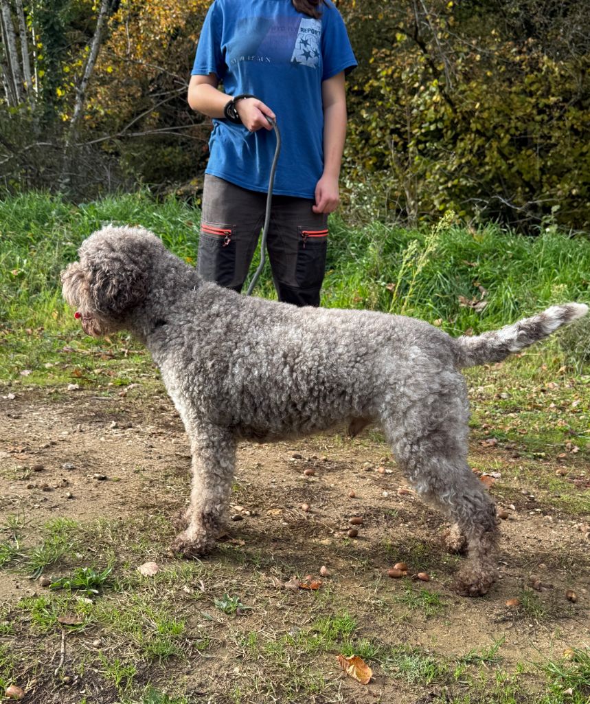 Topaze des coleres de Zeus