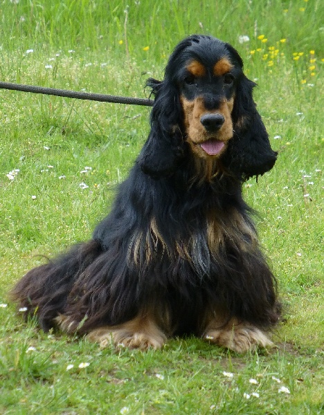 Publication : des coleres de Zeus Auteur : DEROODE