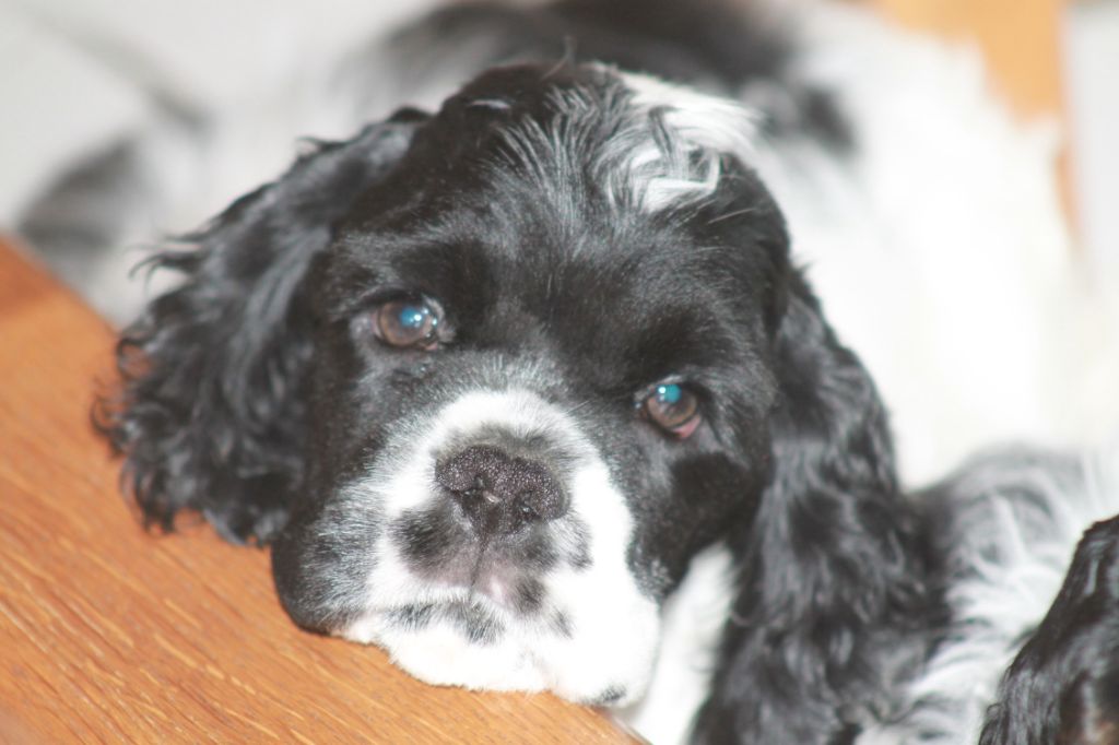 Meggie's Only For You dit John